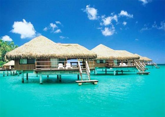 Maisons décorées en bois avec structure en acier, kits de bungalows préfabriqués