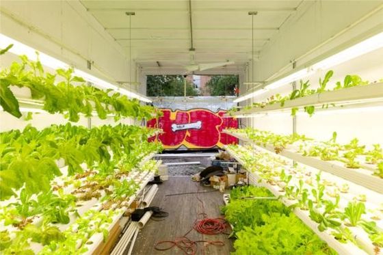 Élevage hydroponique maisons en conteneurs préfabriquées en acier léger maison modulaire